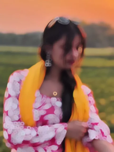 Rangdari Bihari Ke Capcut Template Link 2026